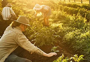 Heat is a growing threat to your business. Here’s what to look out for.