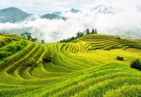 New Rice Farming Methodology from Global Heat Reduction Initiative Zeros in on Projects…