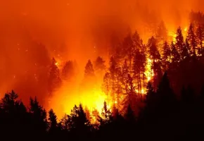 It’s About the Heat, Stupid! Reflections from Climate Week NYC 2025