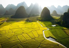 US group opens consultation on rice farming carbon credit methodology