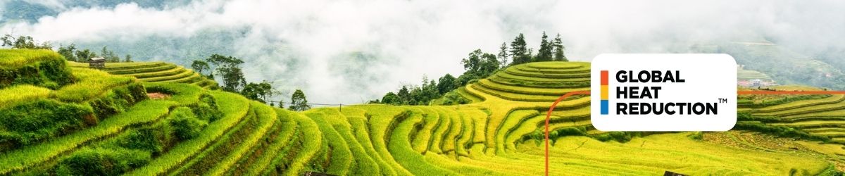 Exploring methane reductions in global rice cultivation during DC Climate Week.